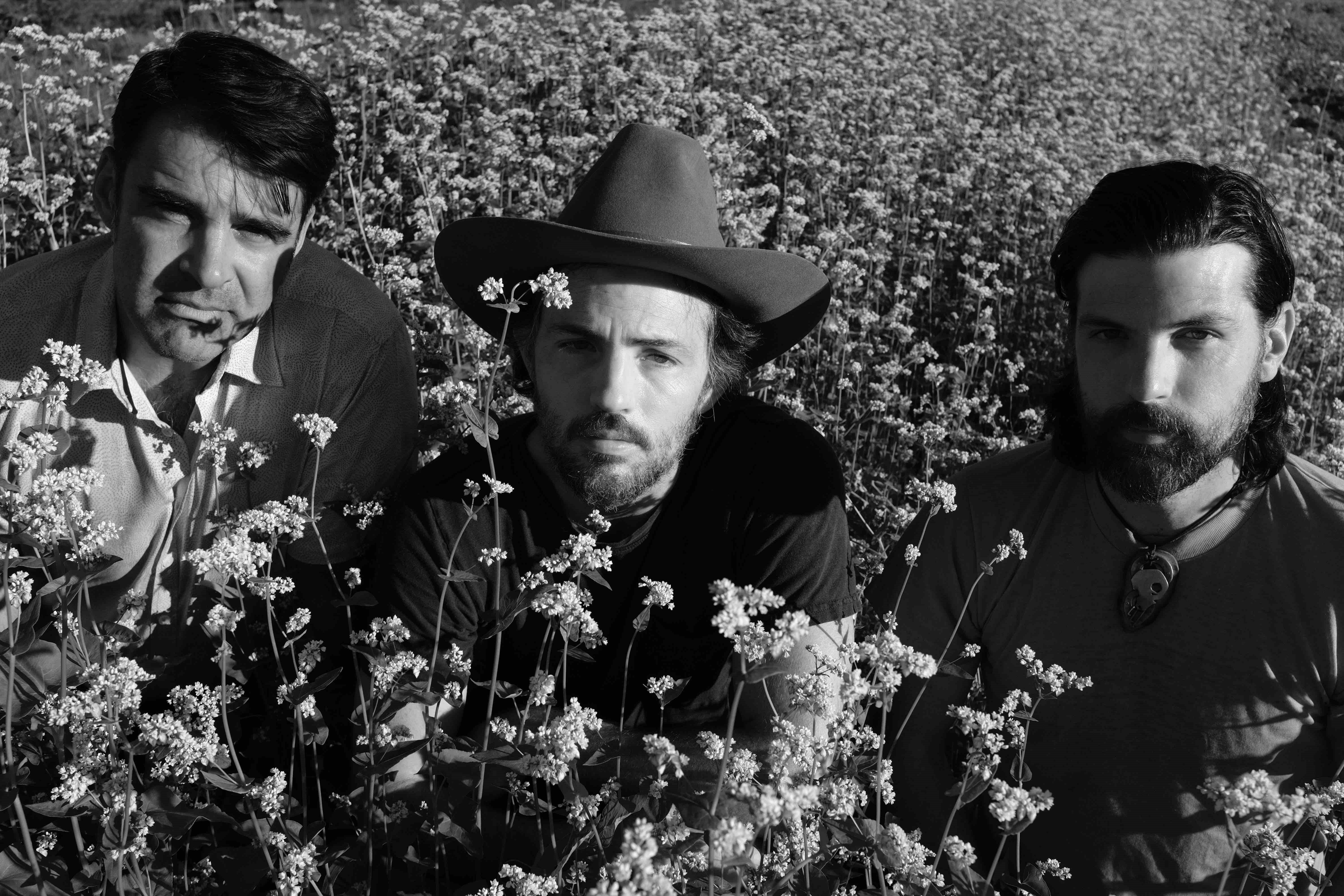 The Avett Brothers Pbs Fm