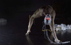 https://www.pbsfm.org.au/sites/default/files/images/Carrion-408x260.jpg https://www.pbsfm.org.au/sites/default/files/images/Carrion-408x260.jpg