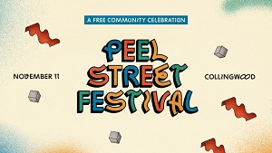 https://www.pbsfm.org.au/sites/default/files/images/Peel Street Festival.jpg