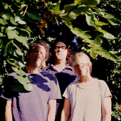 https://www.pbsfm.org.au/sites/default/files/images/yolatengo.jpg